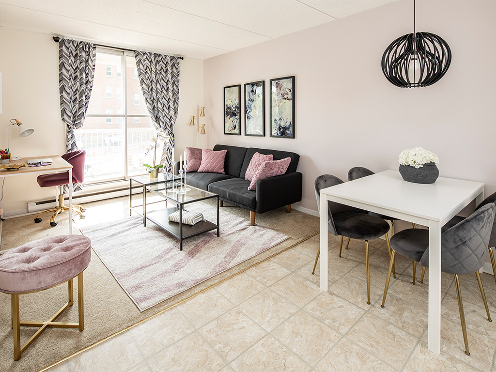 Appartement 2 Chambres a louer à Gatineau-Hull a Faubourg De lIle - Photo 01 - TrouveUnAppart – L402249